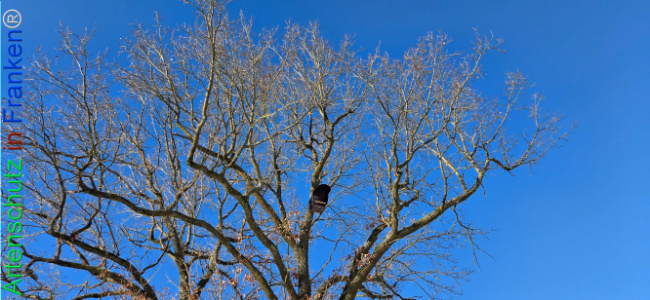 Bild zum Eintrag (1133462-160)