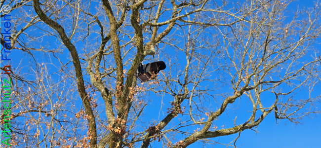 Bild zum Eintrag (1133467-160)