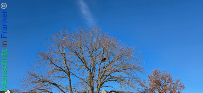 Bild zum Eintrag (1133471-160)