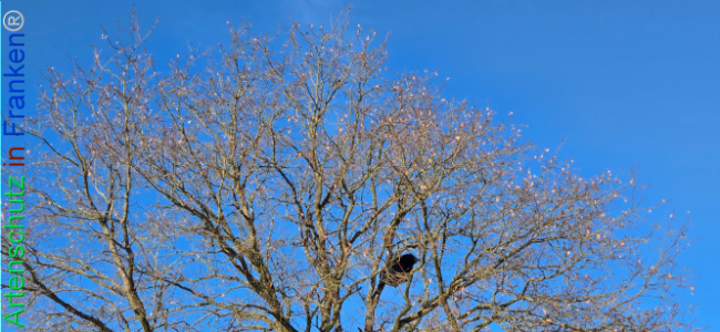 Bild zum Eintrag (1133472-160)