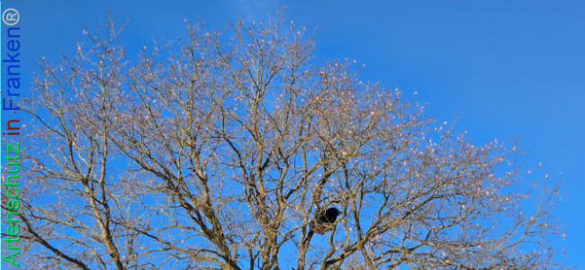 Bild zum Eintrag (1133473-160)