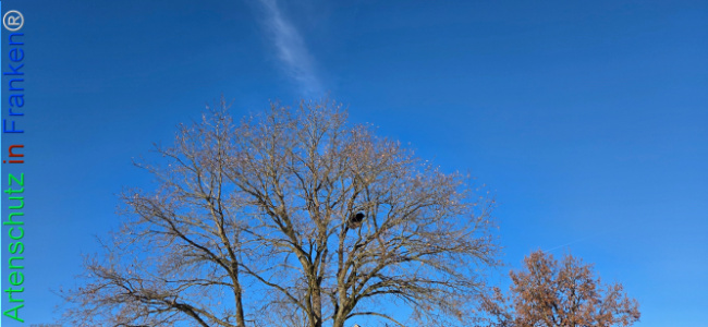 Bild zum Eintrag (1133474-160)