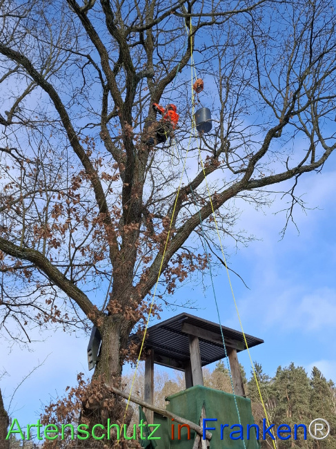 Bild zum Eintrag (1133842-160)