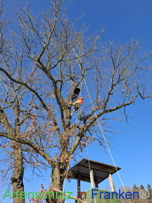 Bild zum Eintrag (1133843-160)