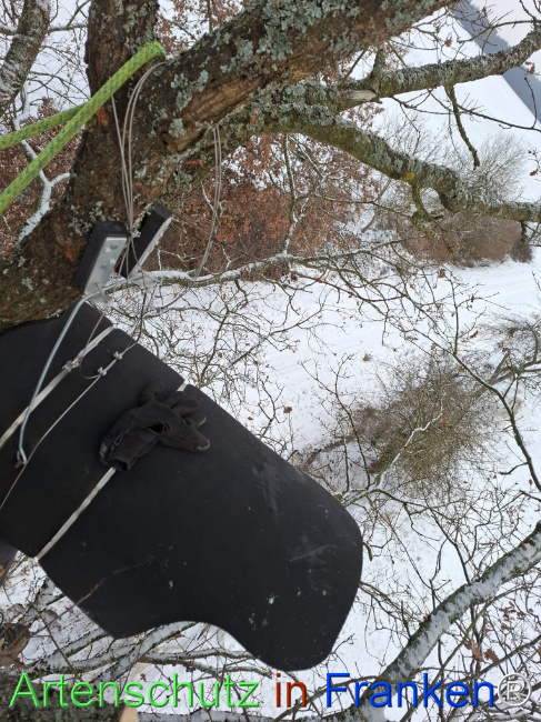 Bild zum Eintrag (1133845-160)