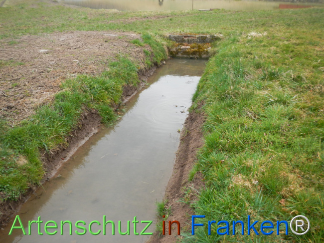 Bild zum Eintrag (1135263-160)