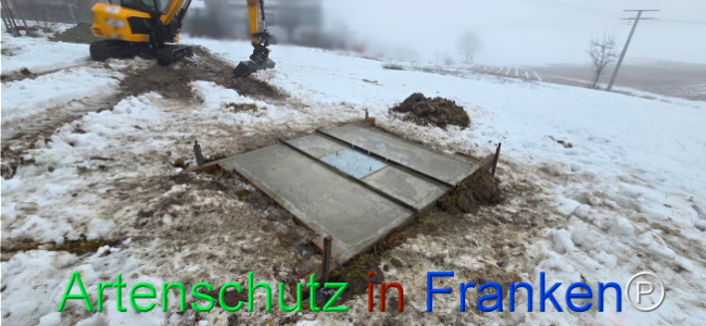 Bild zum Eintrag (1135360-160)