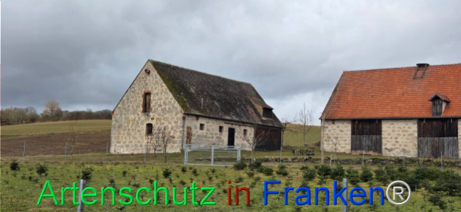 Bild zum Eintrag (1136425-160)