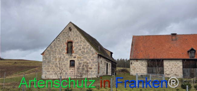 Bild zum Eintrag (1136426-160)