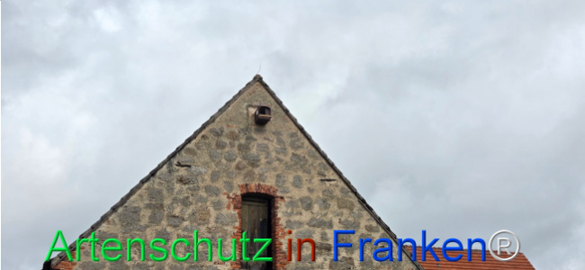 Bild zum Eintrag (1136427-160)