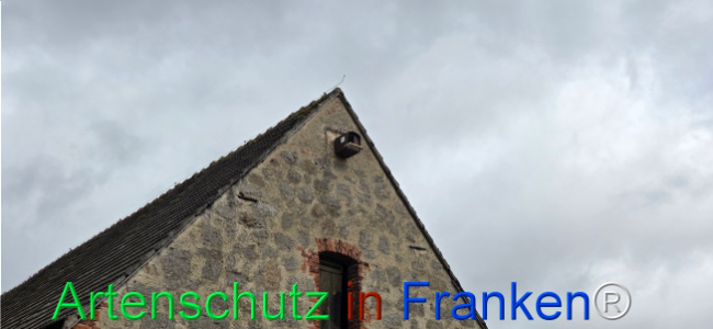 Bild zum Eintrag (1136428-160)