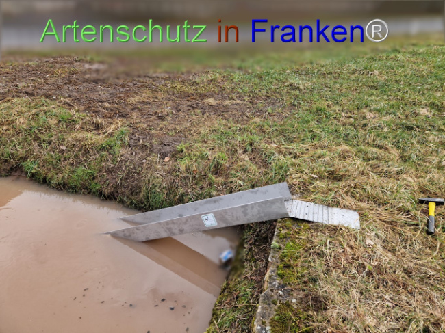 Bild zum Eintrag (1136598-160)