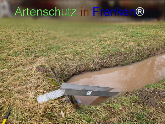 Bild zum Eintrag (1136599-160)