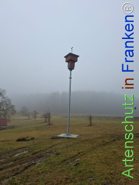 Bild zum Eintrag (1136647-160)