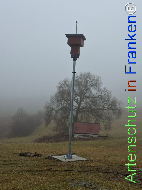 Bild zum Eintrag (1136648-160)