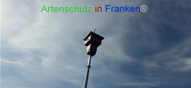 Bild zum Eintrag (1136972-160)