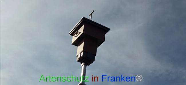 Bild zum Eintrag (1136973-160)