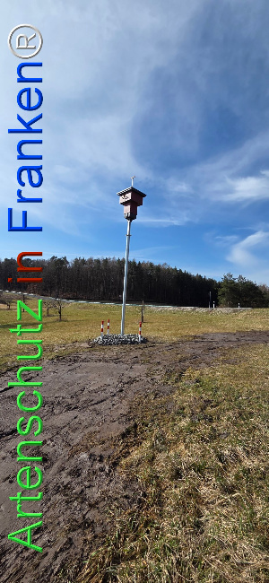 Bild zum Eintrag (1136975-160)