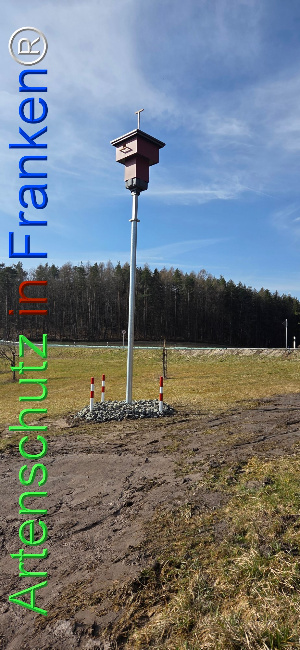 Bild zum Eintrag (1136976-160)