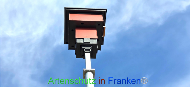 Bild zum Eintrag (1136979-160)