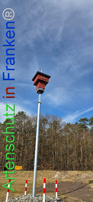 Bild zum Eintrag (1136985-160)