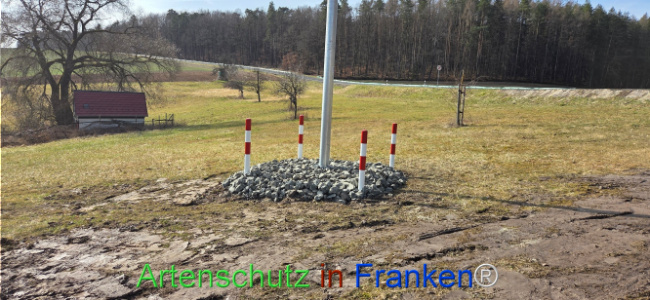 Bild zum Eintrag (1136987-160)