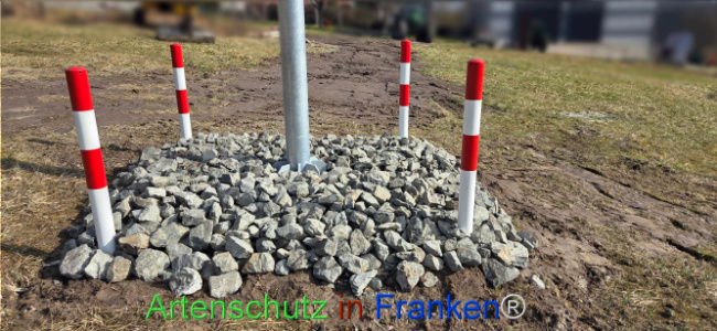 Bild zum Eintrag (1136988-160)