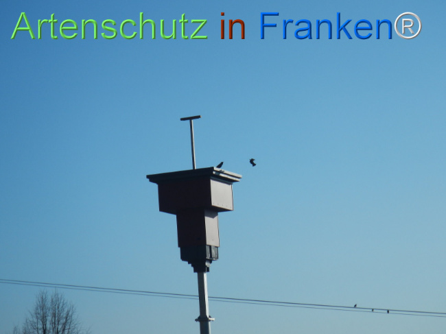 Bild zum Eintrag (1136992-160)