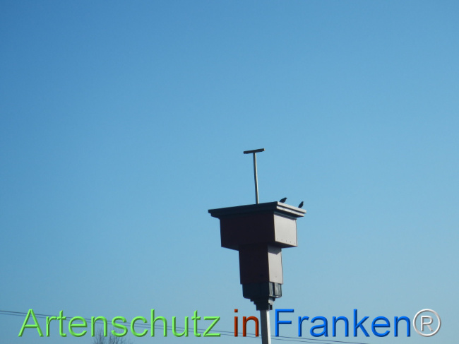 Bild zum Eintrag (1136993-160)