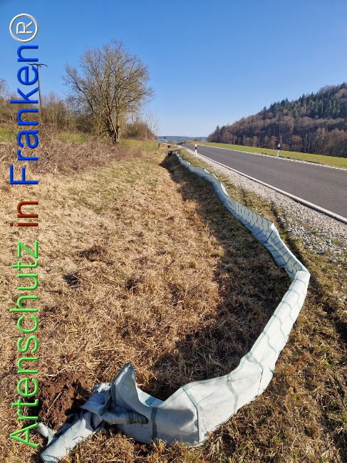 Bild zum Eintrag (1137141-160)