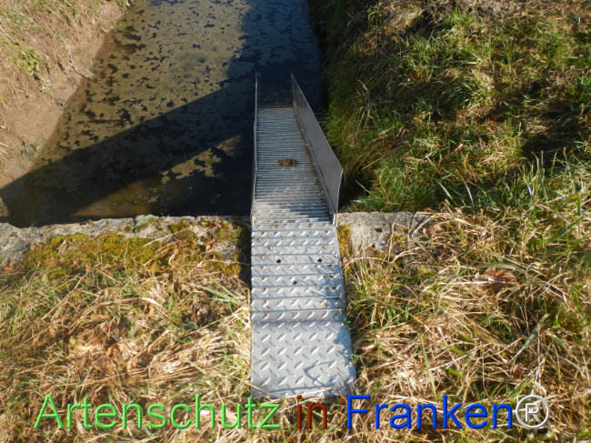 Bild zum Eintrag (1137151-160)