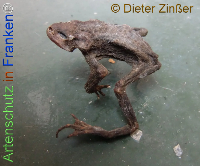 Bild zum Eintrag (1137593-160)