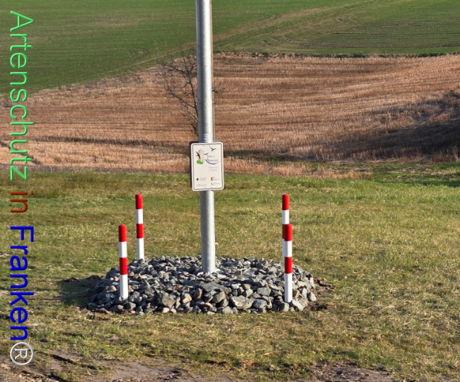 Bild zum Eintrag (1138124-160)