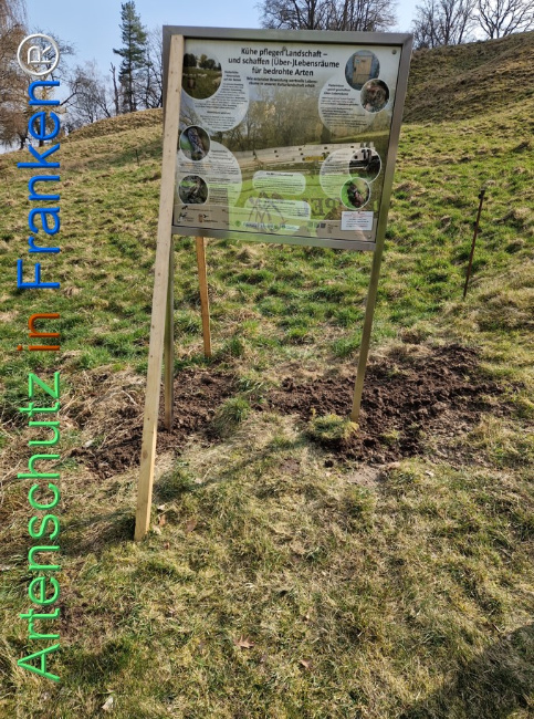 Bild zum Eintrag (1138187-160)