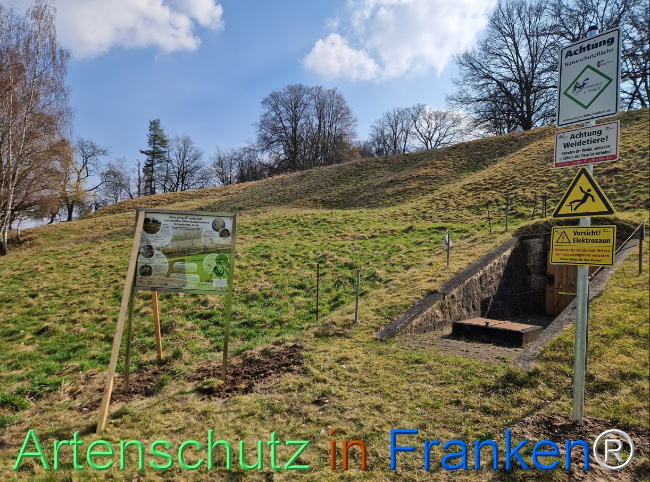 Bild zum Eintrag (1138191-160)