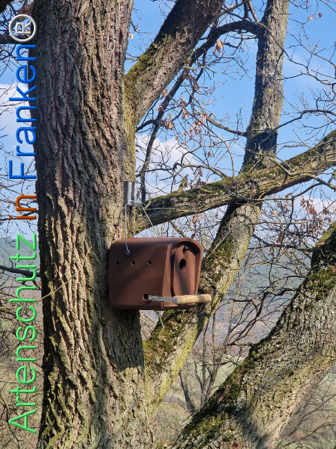 Bild zum Eintrag (1138197-160)