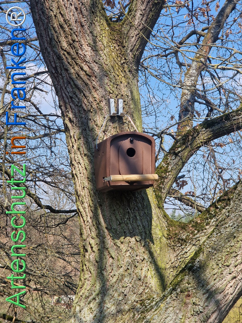 Bild zum Eintrag (1138198-160)