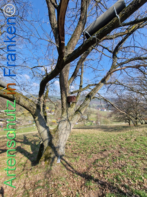 Bild zum Eintrag (1138199-160)