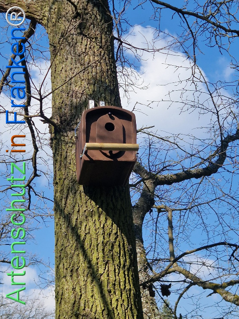 Bild zum Eintrag (1138204-160)