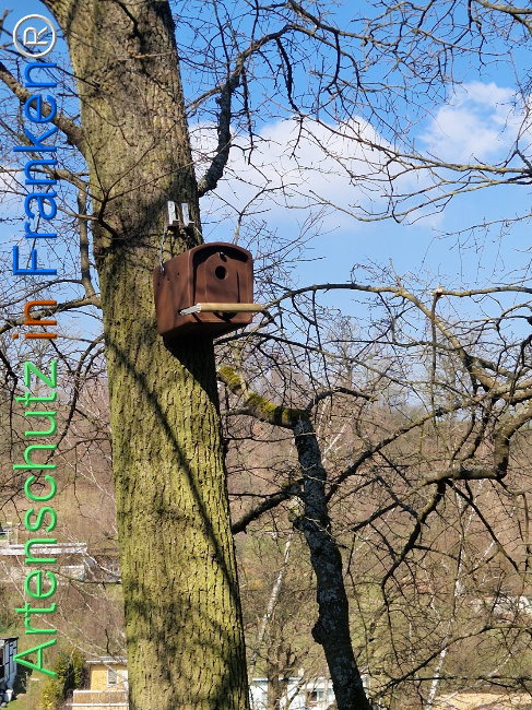 Bild zum Eintrag (1138205-160)