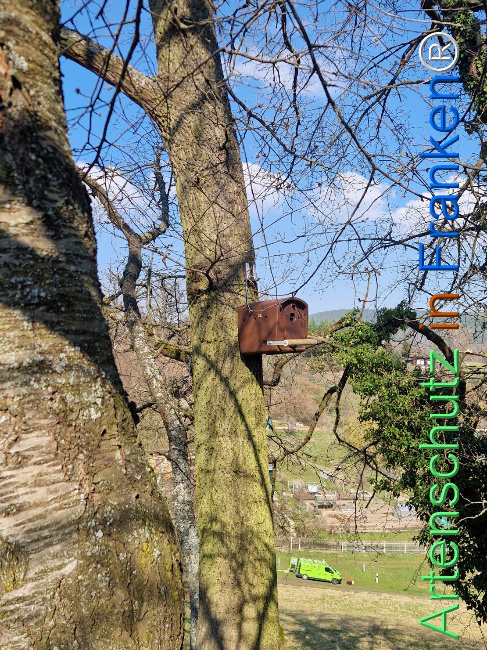 Bild zum Eintrag (1138206-160)