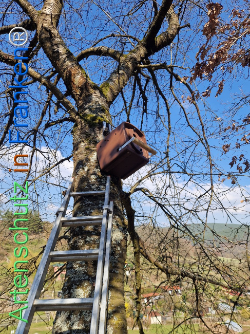 Bild zum Eintrag (1138209-160)