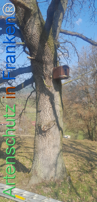 Bild zum Eintrag (1138210-160)