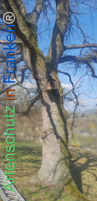 Bild zum Eintrag (1138211-160)