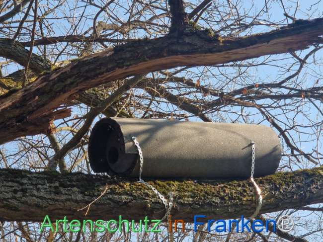 Bild zum Eintrag (1138217-160)