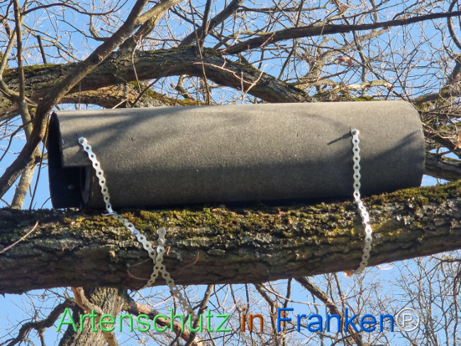 Bild zum Eintrag (1138218-160)