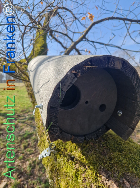 Bild zum Eintrag (1138220-160)