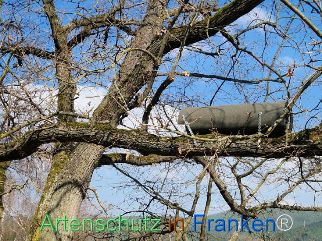 Bild zum Eintrag (1138222-160)