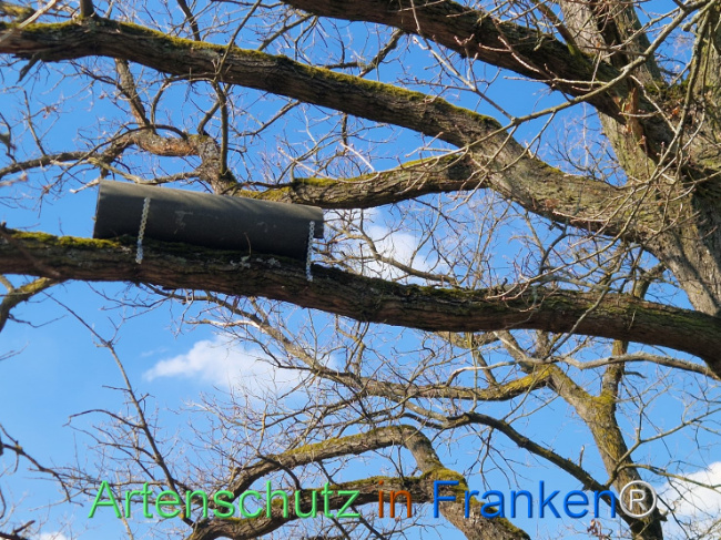 Bild zum Eintrag (1138223-160)