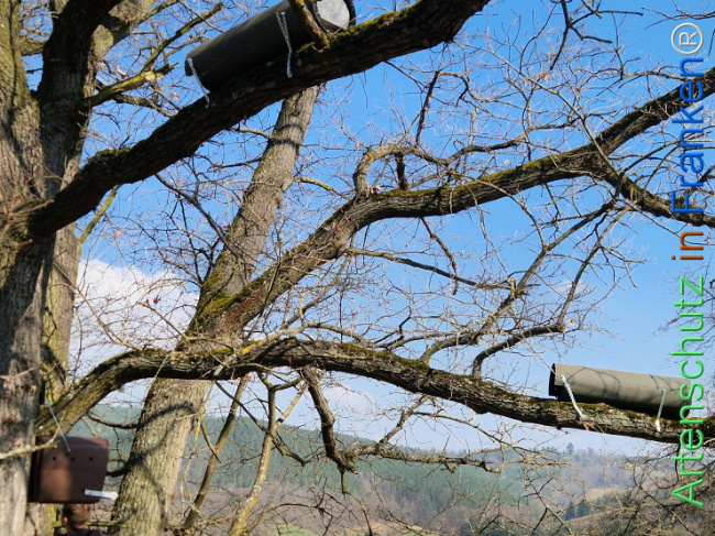 Bild zum Eintrag (1138224-160)